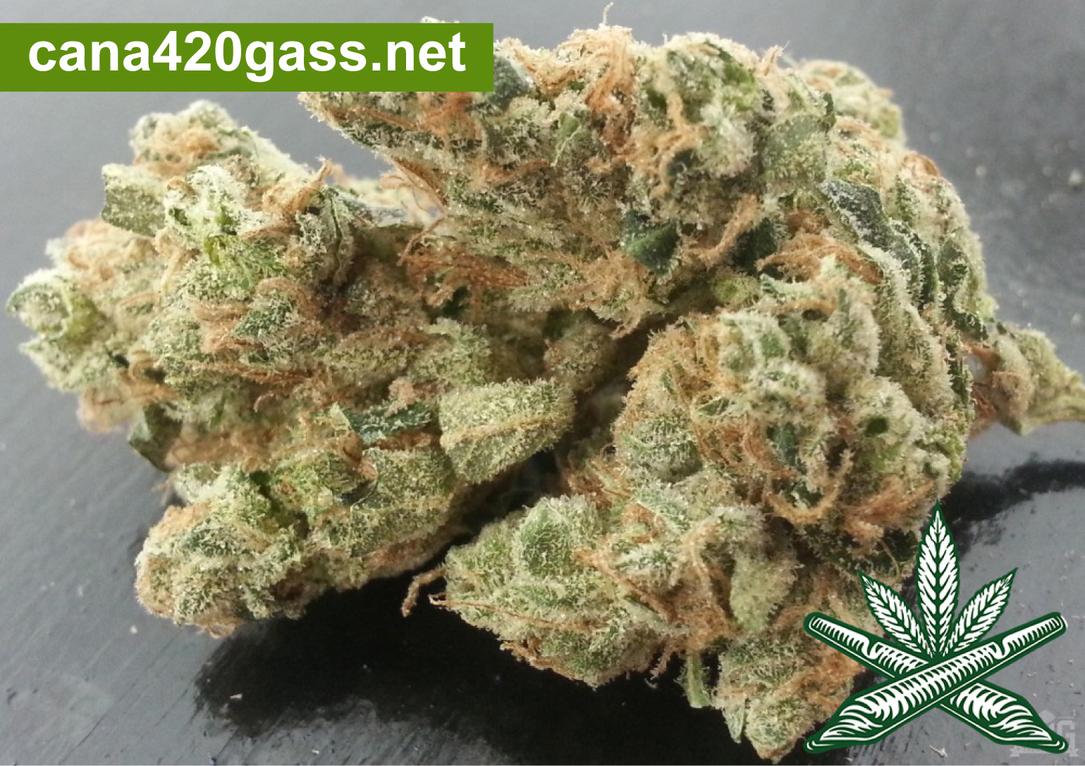 Sour-Diesel-1