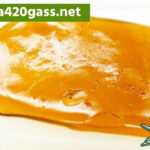 Sweet-Skunk-Shatter.