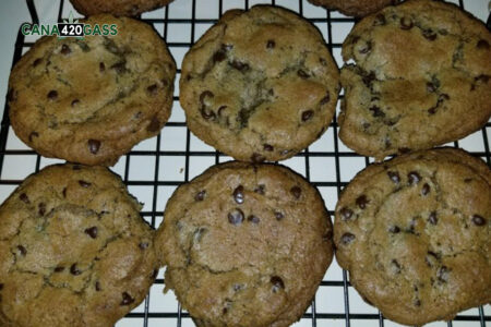 Recent Trends in Marijuana Packaging