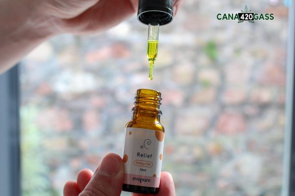 CBD oil dosage