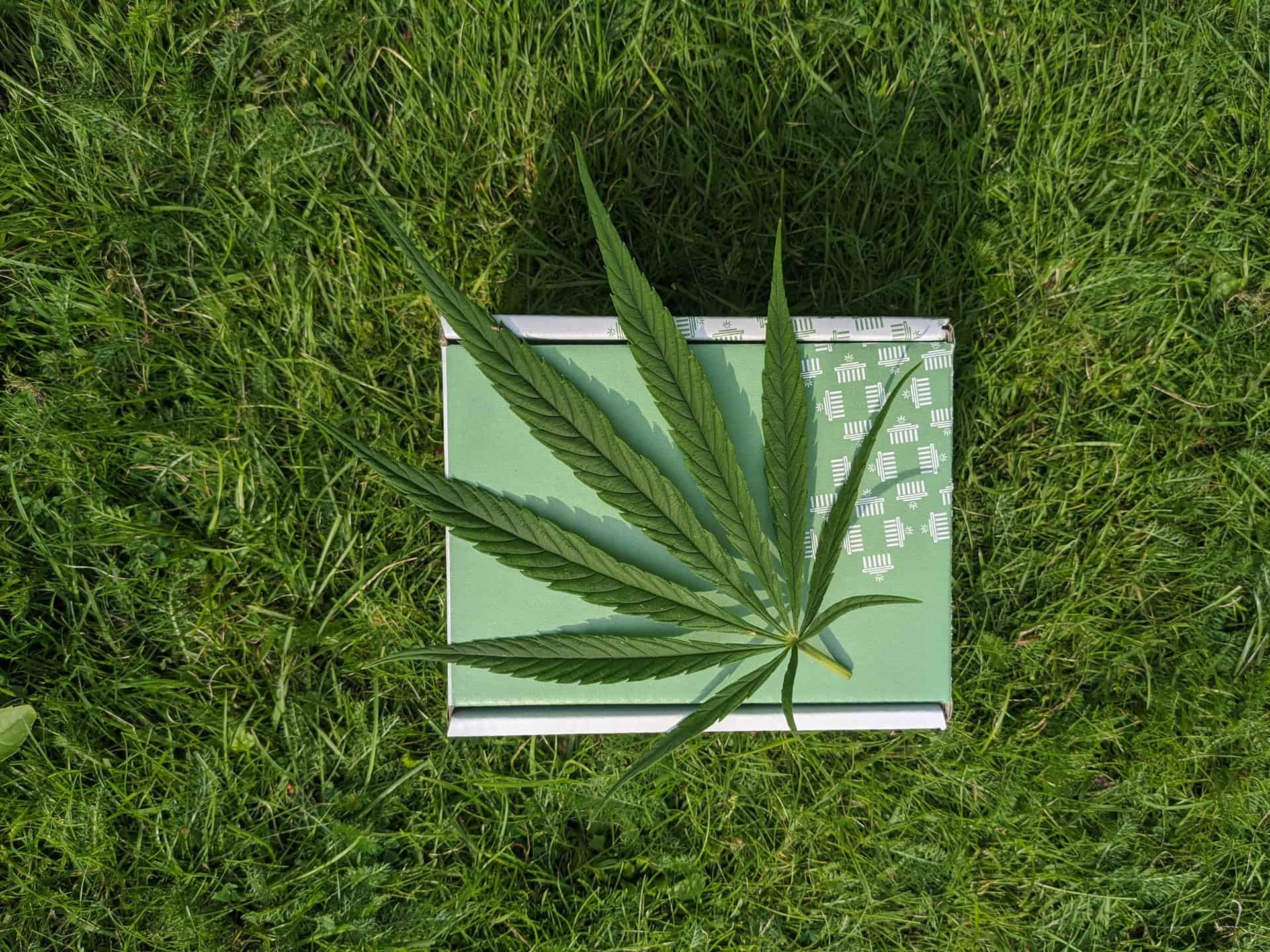 marijuana packaging