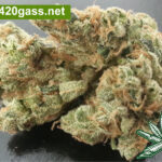 Sour-Diesel-1