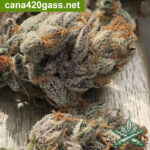 93Pressure