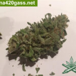 Azura-Haze.
